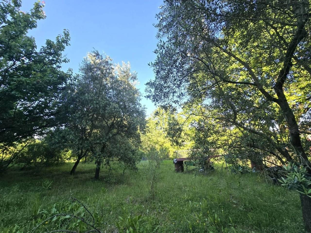 immagine annuncio 7 di 13