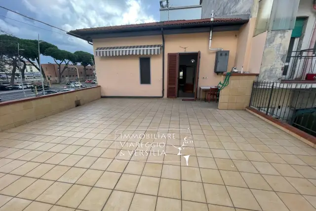 insertion image