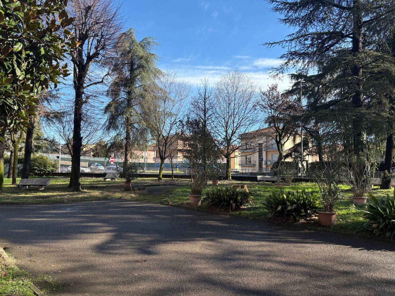 immagine annuncio 6 di 15