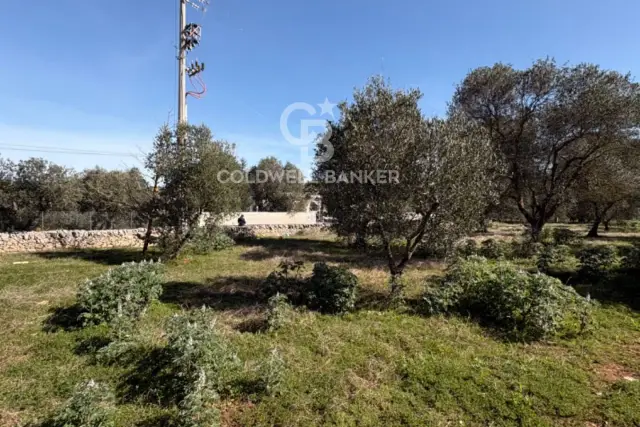 insertion image