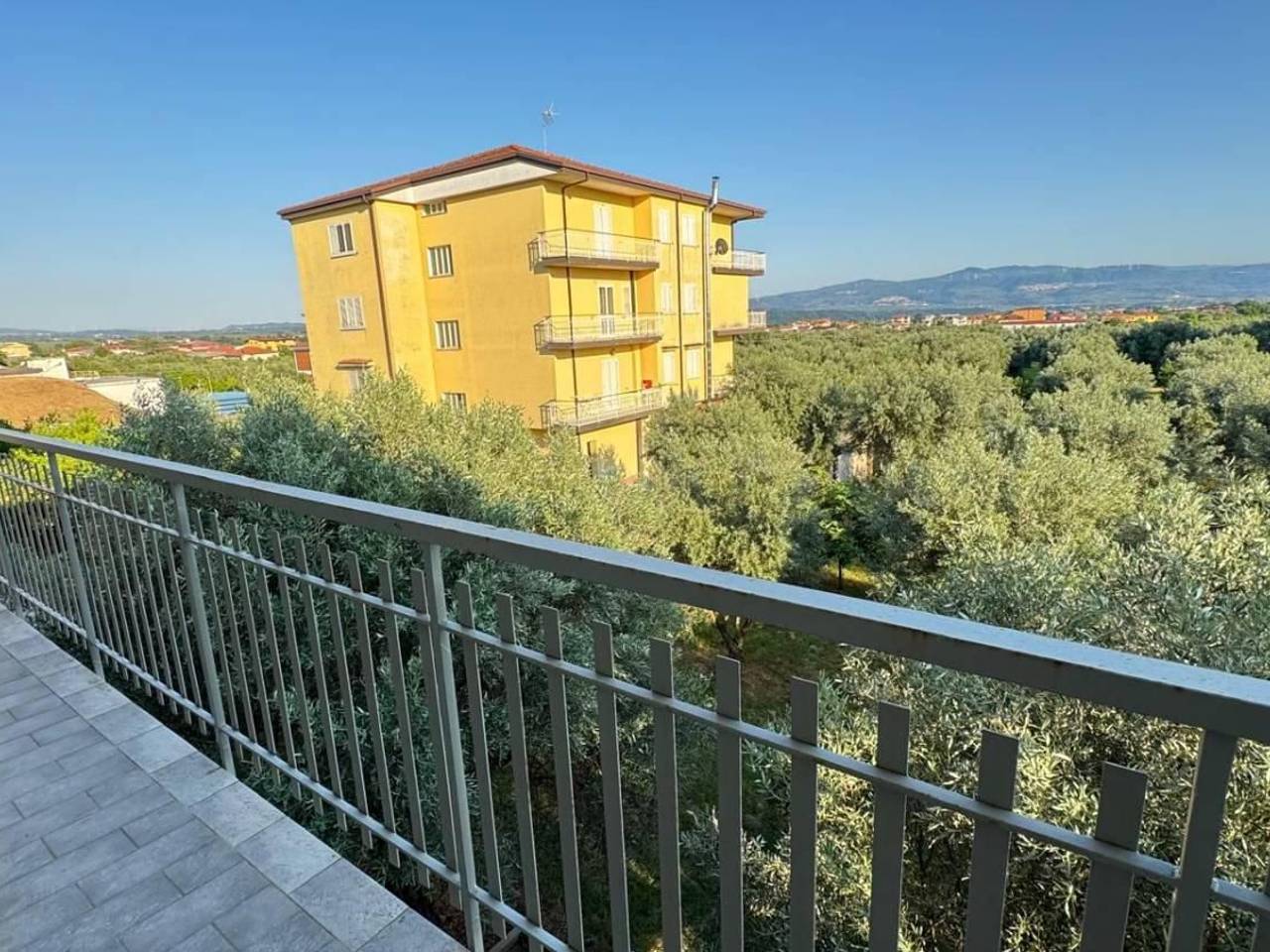 immagine annuncio 9 di 11