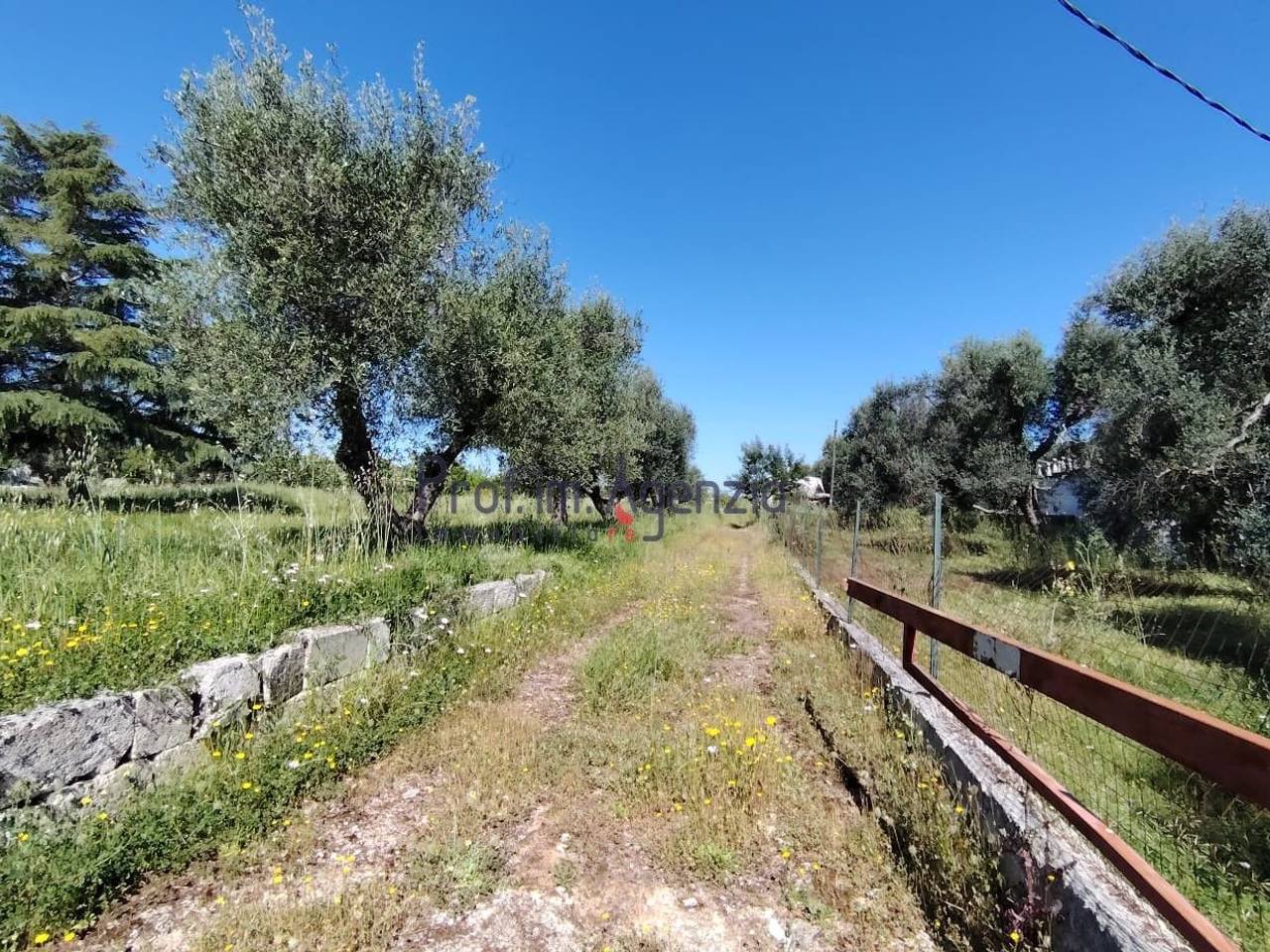 immagine annuncio 9 di 11