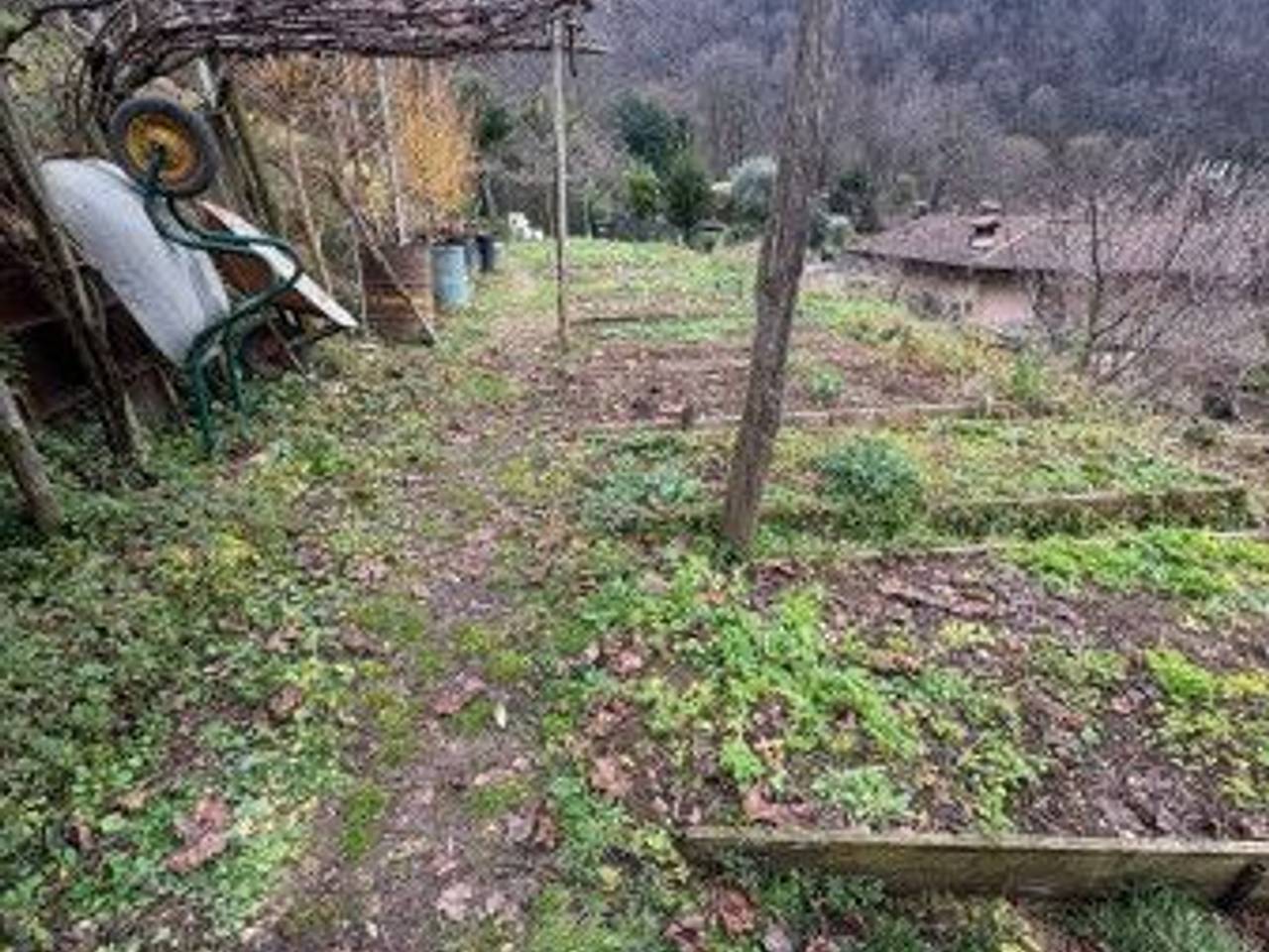 immagine annuncio 3 di 8