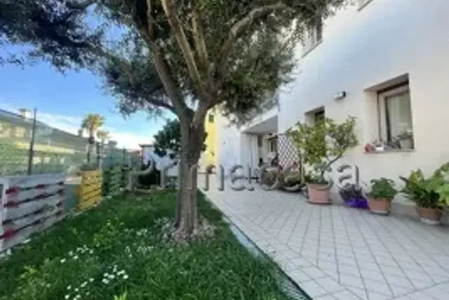 insertion image
