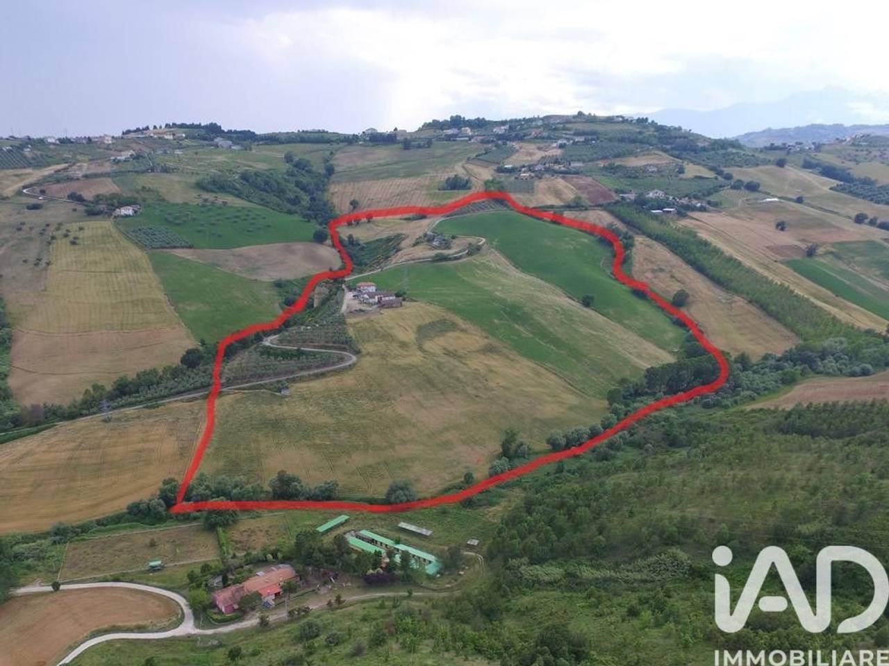 immagine annuncio 8 di 15
