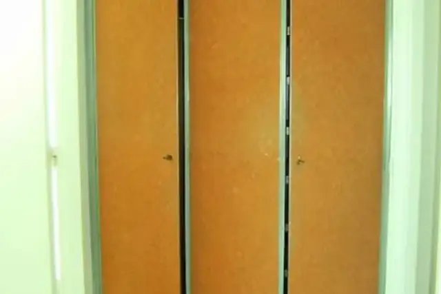 insertion image