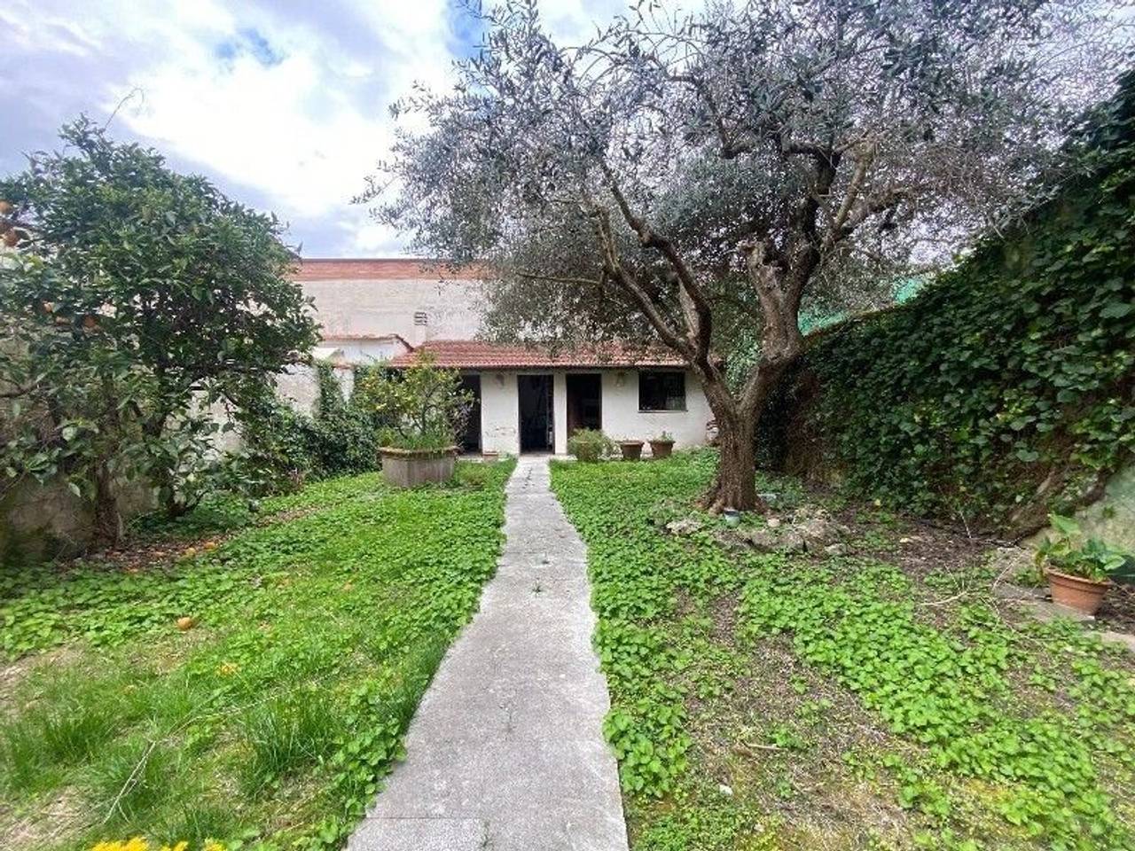 immagine annuncio 2 di 14