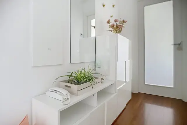 insertion image
