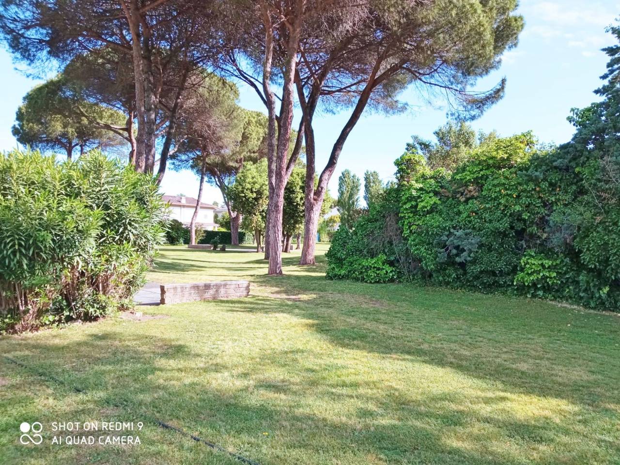 immagine annuncio 8 di 11