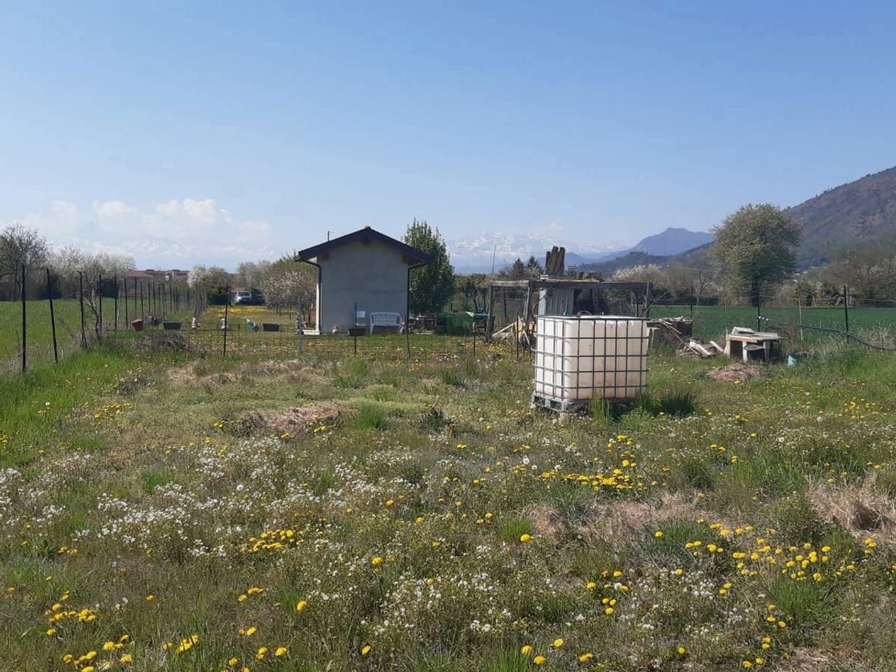 immagine annuncio 8 di 15