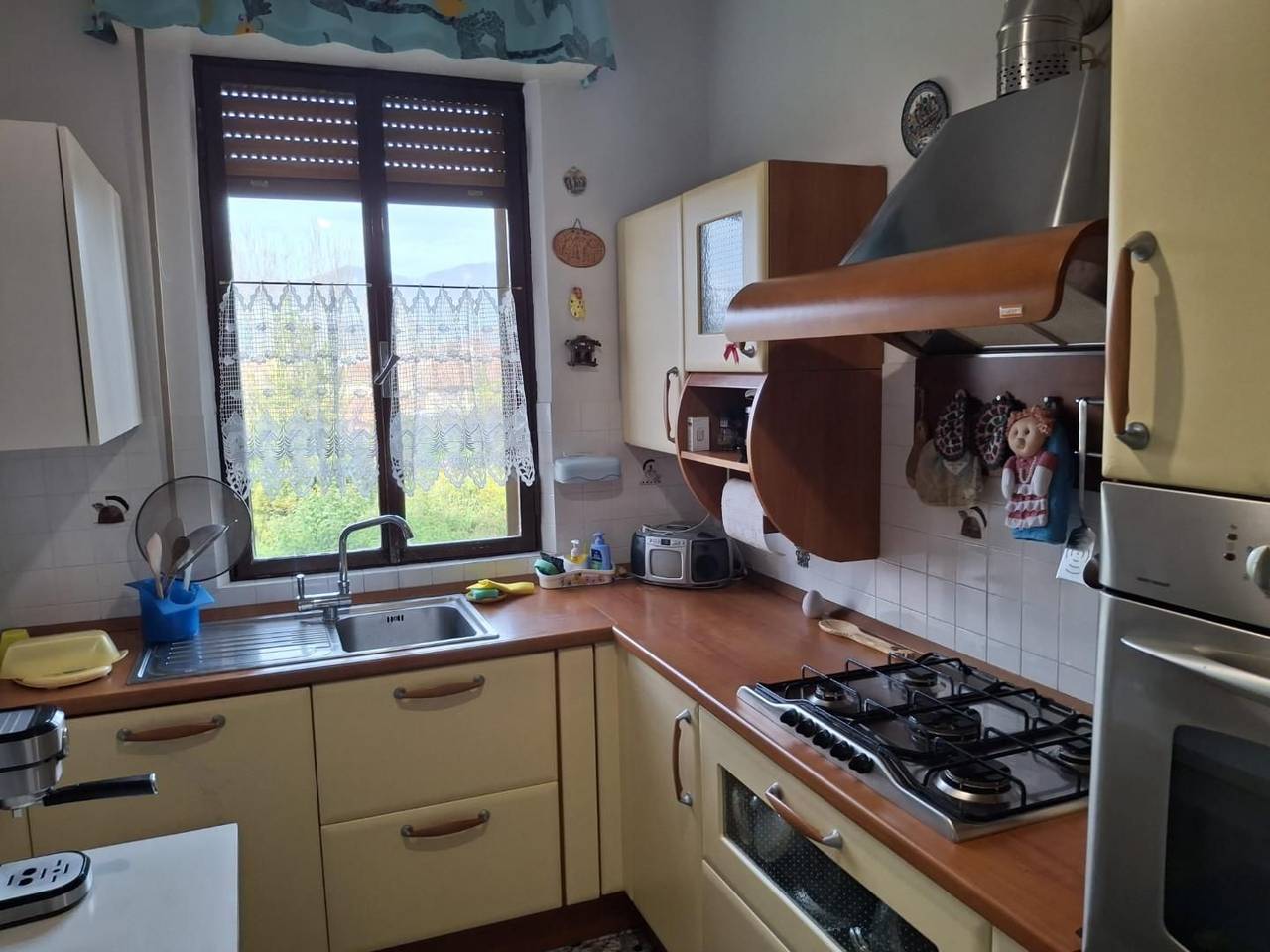 immagine annuncio 5 di 15
