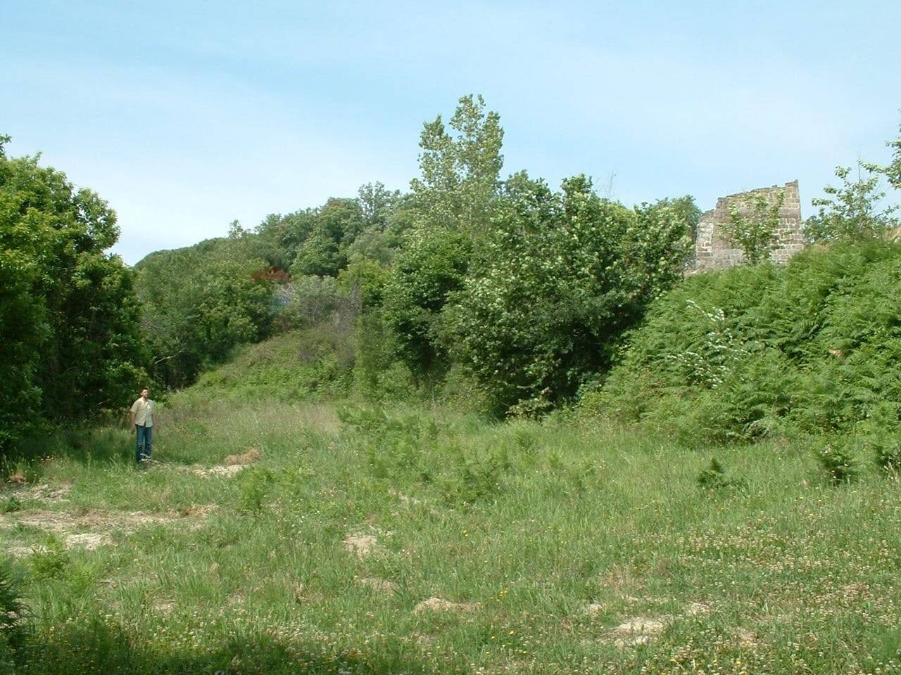 immagine annuncio 2 di 4