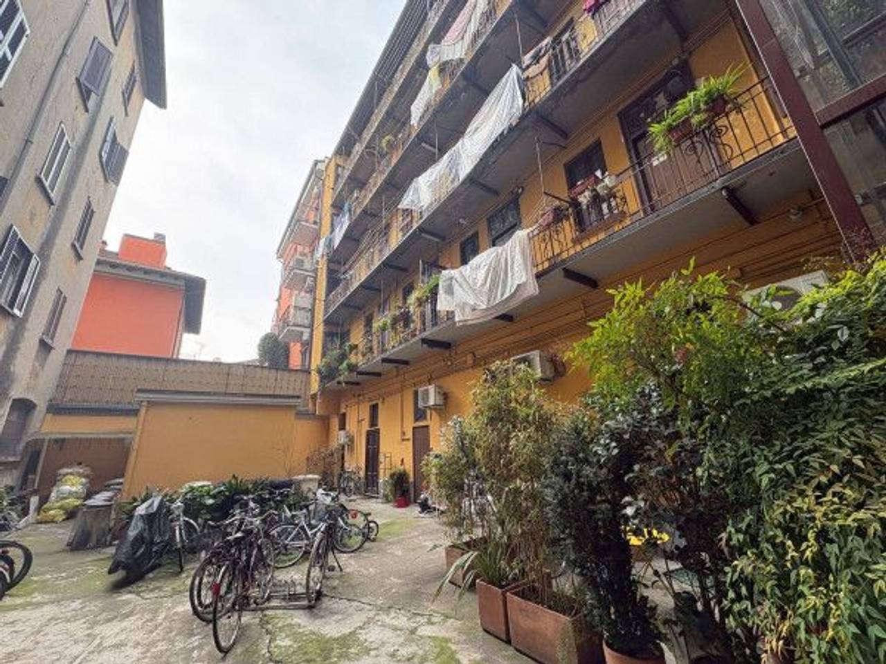 immagine annuncio 2 di 13
