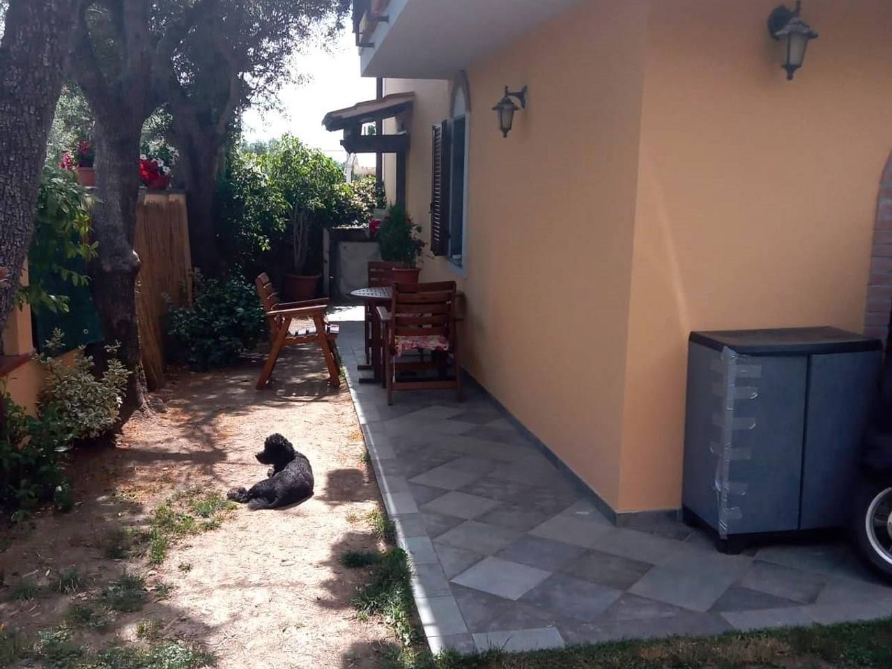 immagine annuncio 2 di 15