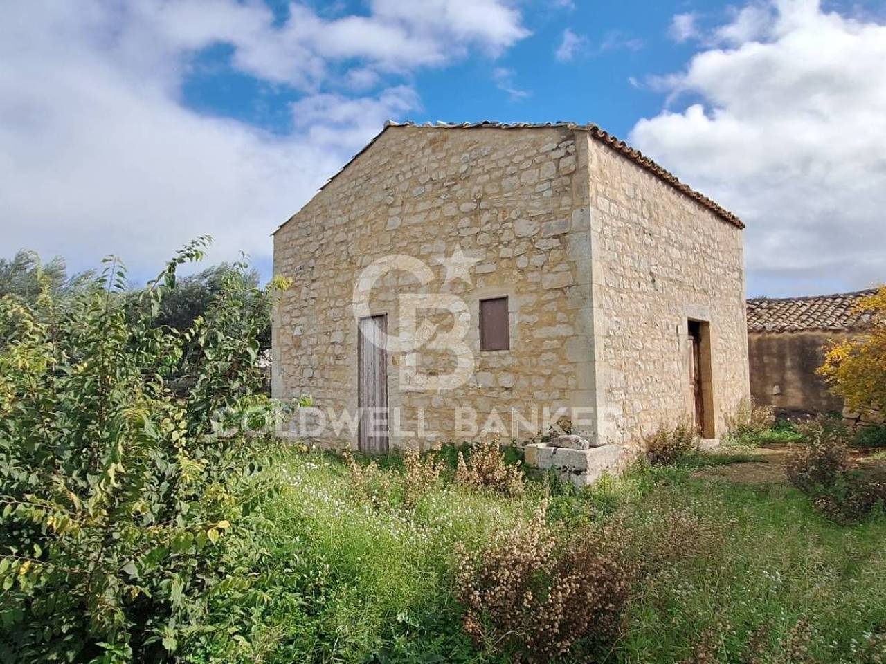 immagine annuncio 6 di 11