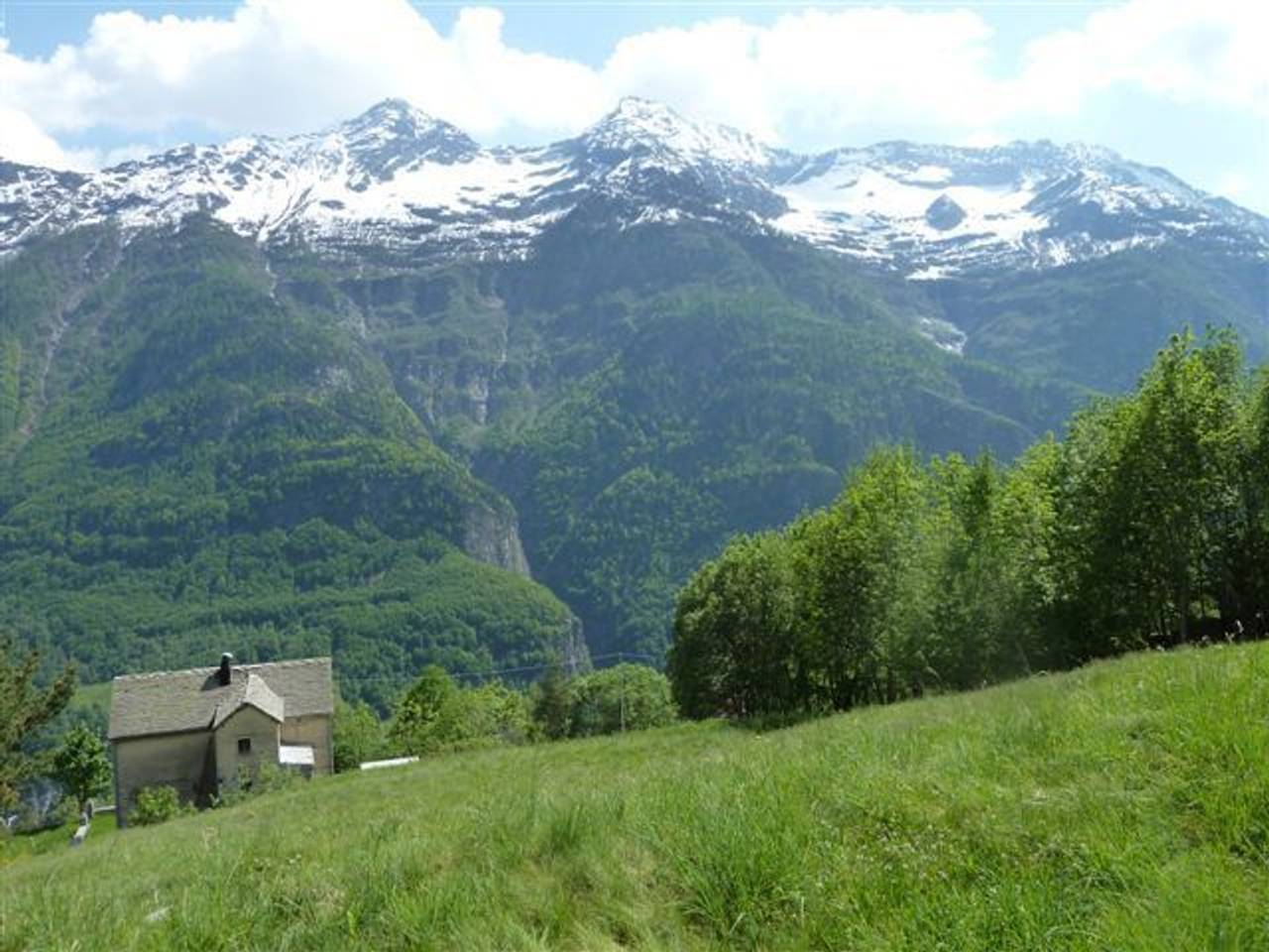 immagine annuncio 4 di 5