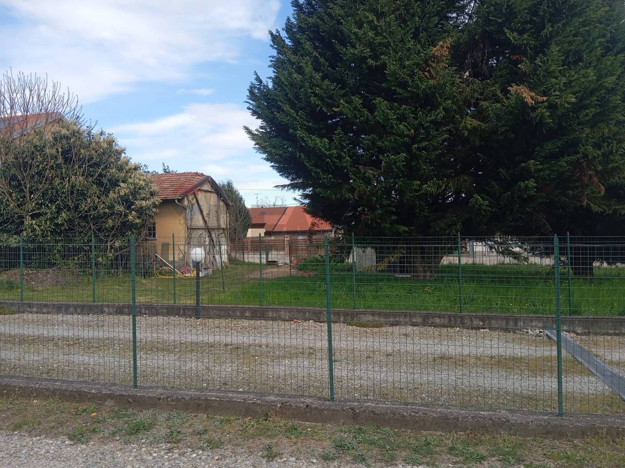 immagine annuncio 11 di 15