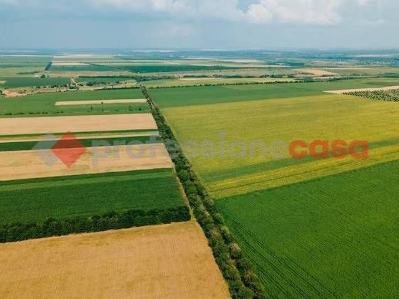 immagine annuncio 5 di 9