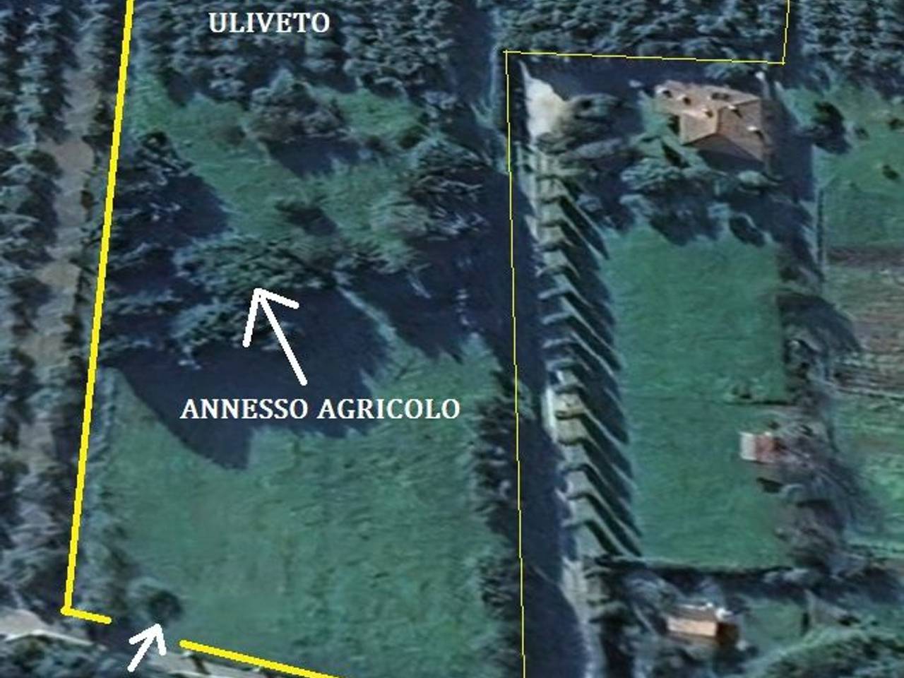 immagine annuncio 1 di 12