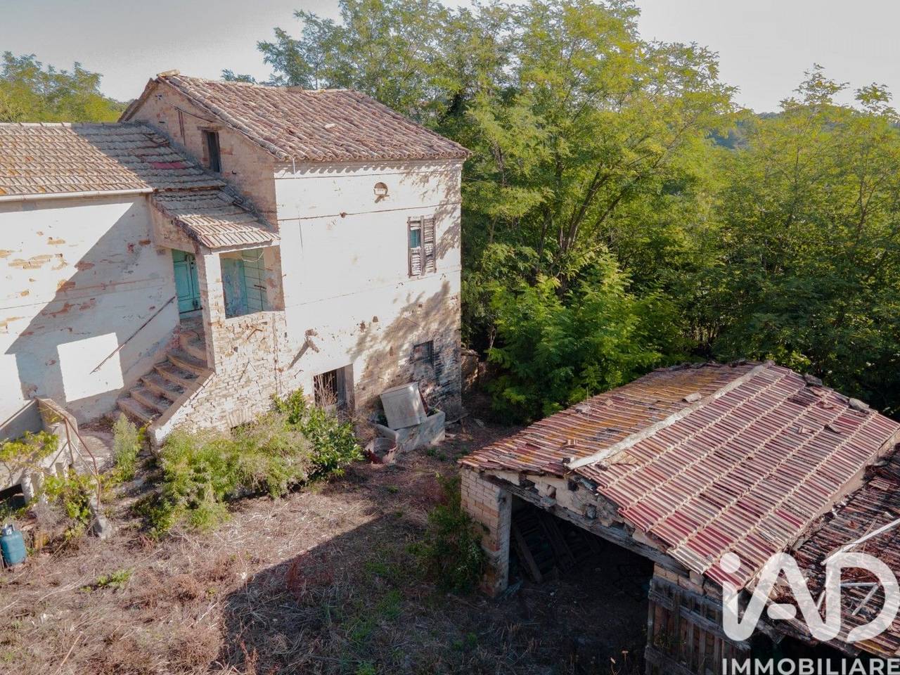 immagine annuncio 11 di 14