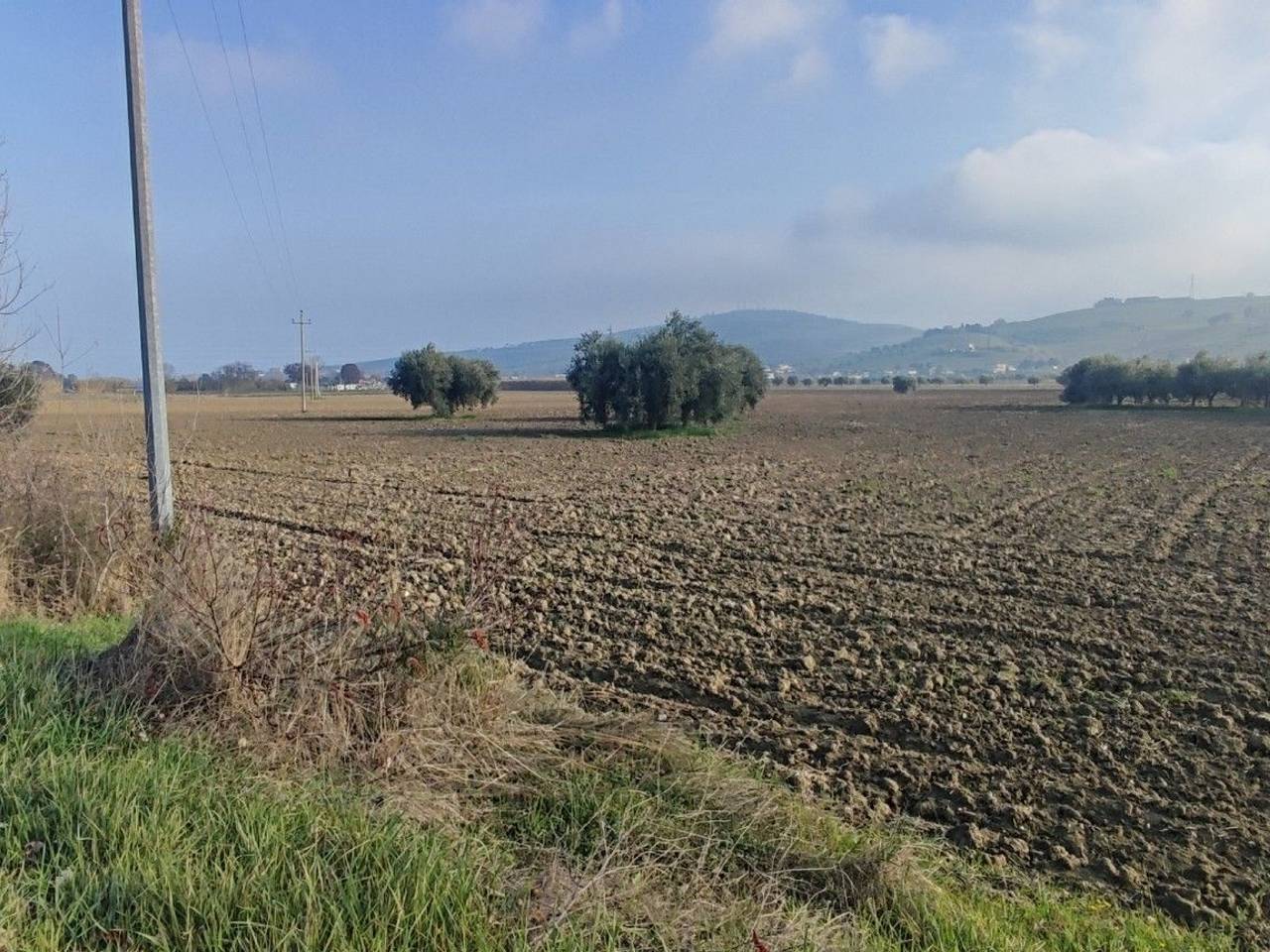 immagine annuncio 4 di 14