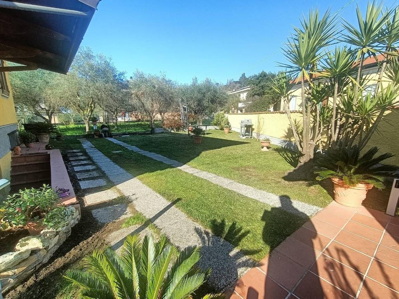 immagine annuncio 14 di 15