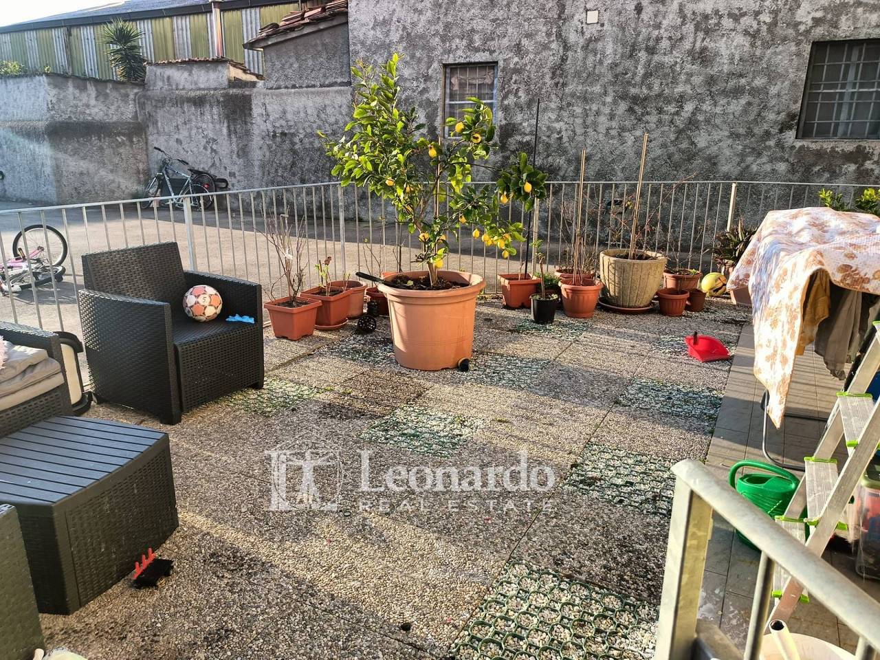 immagine annuncio 13 di 15