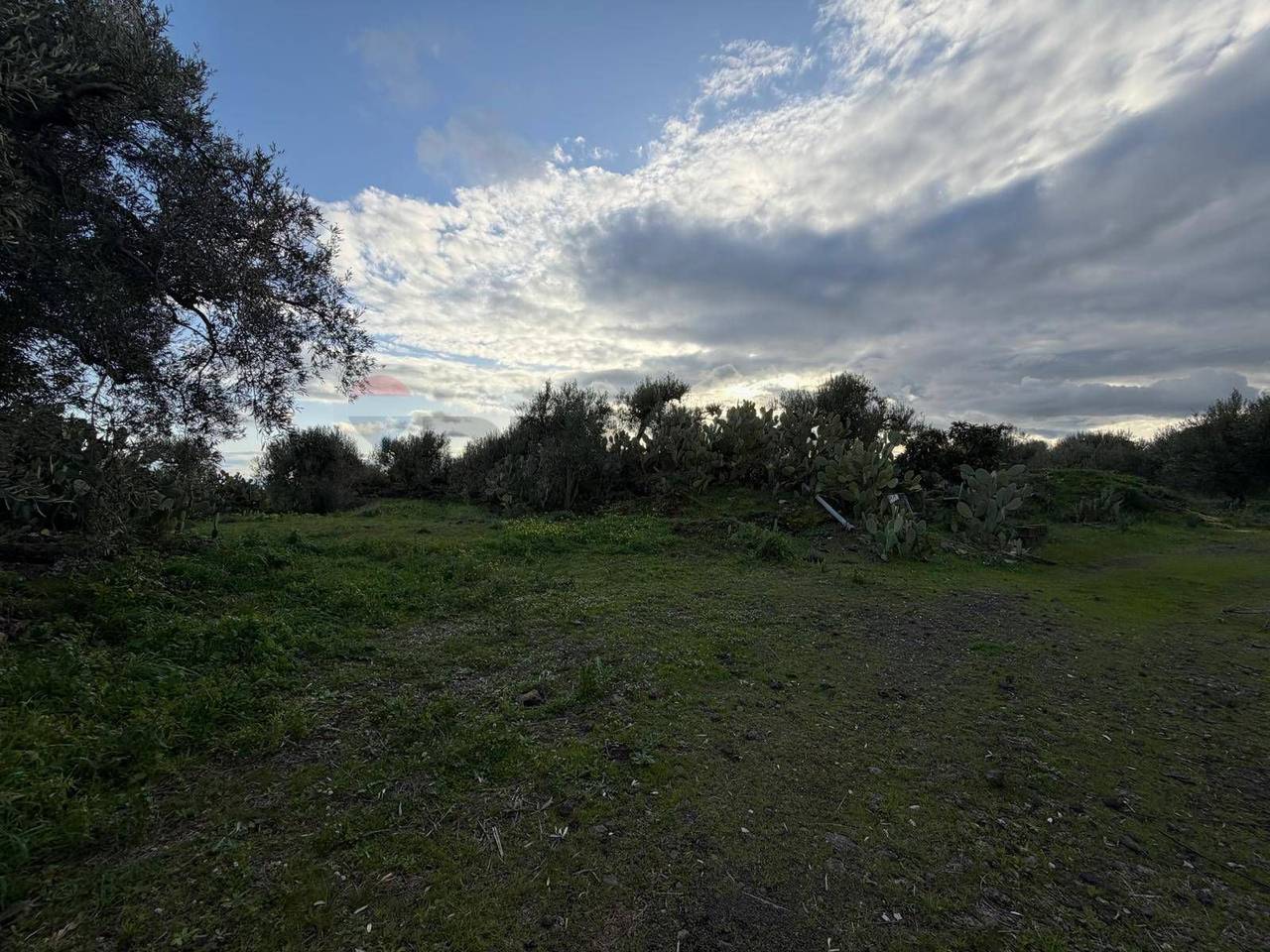 immagine annuncio 1 di 6