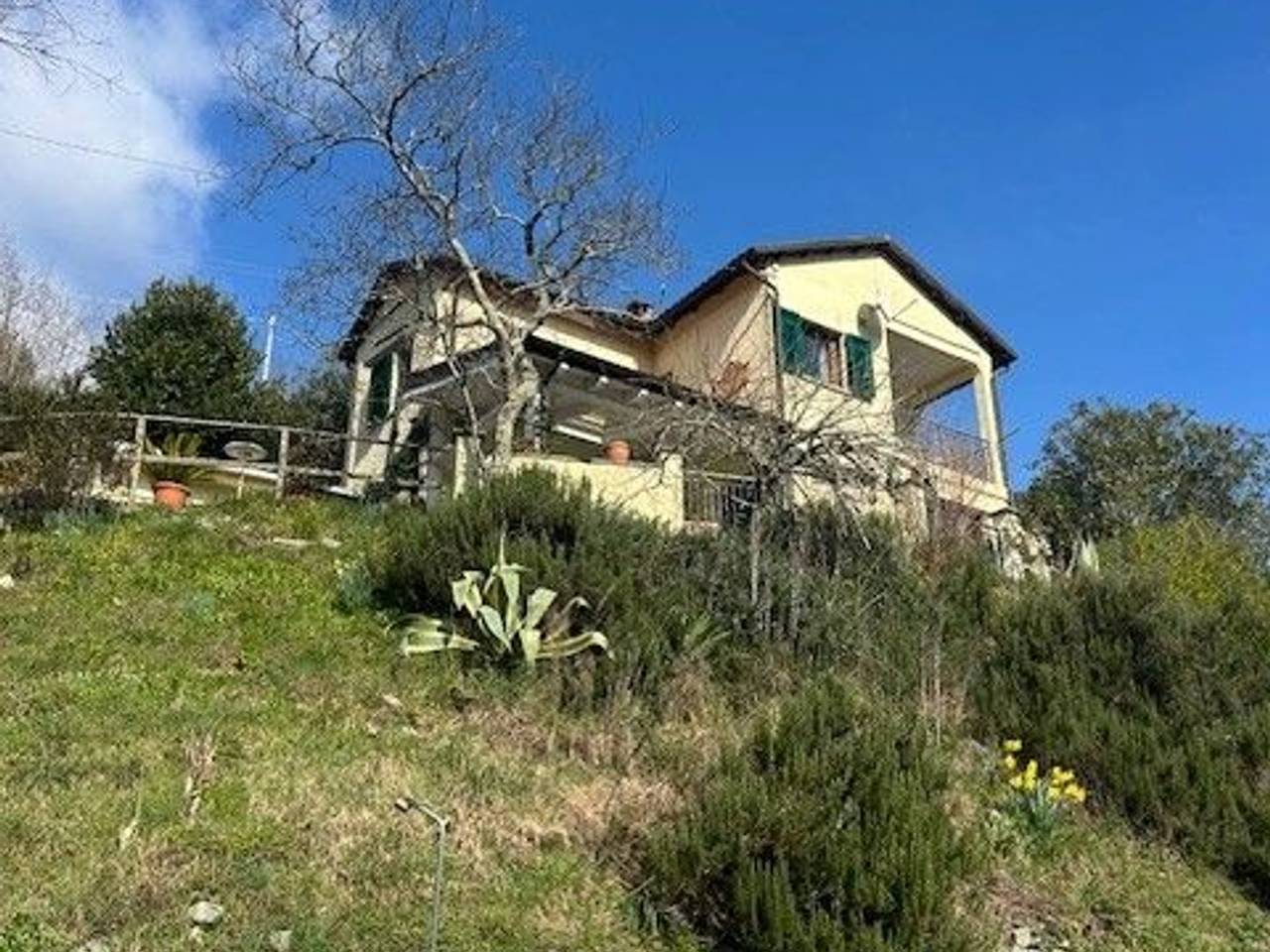 immagine annuncio 4 di 15