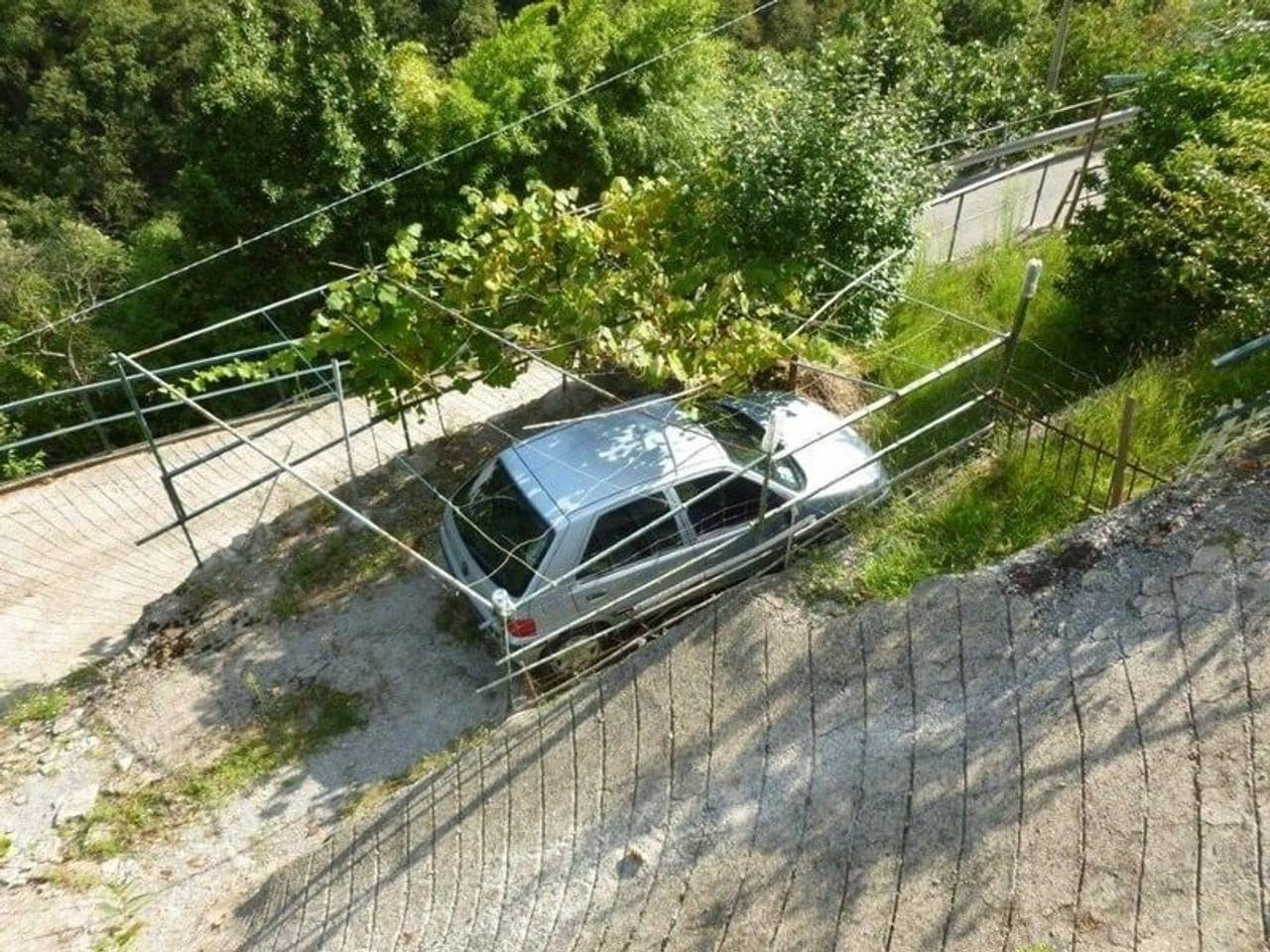 immagine annuncio 11 di 14