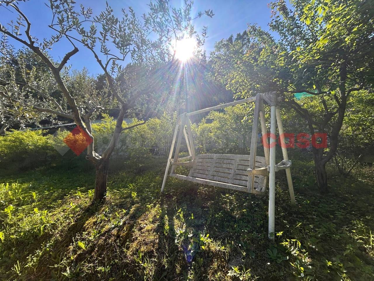 immagine annuncio 10 di 12