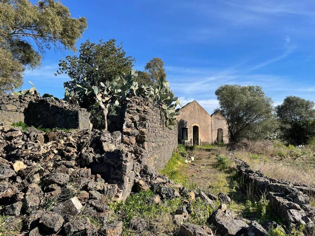 immagine annuncio 6 di 12