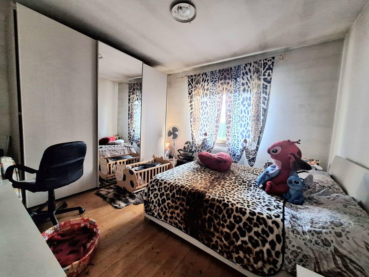 immagine annuncio 5 di 6