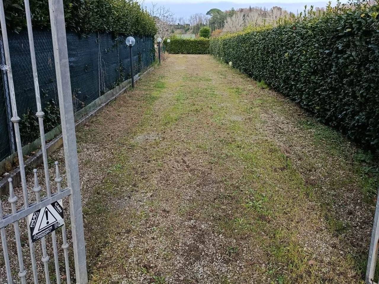 immagine annuncio 2 di 14