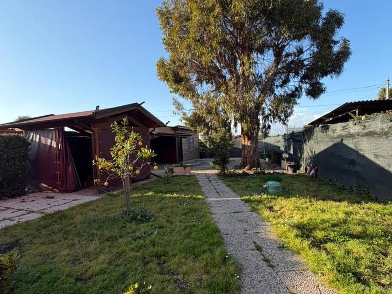 immagine annuncio 5 di 15