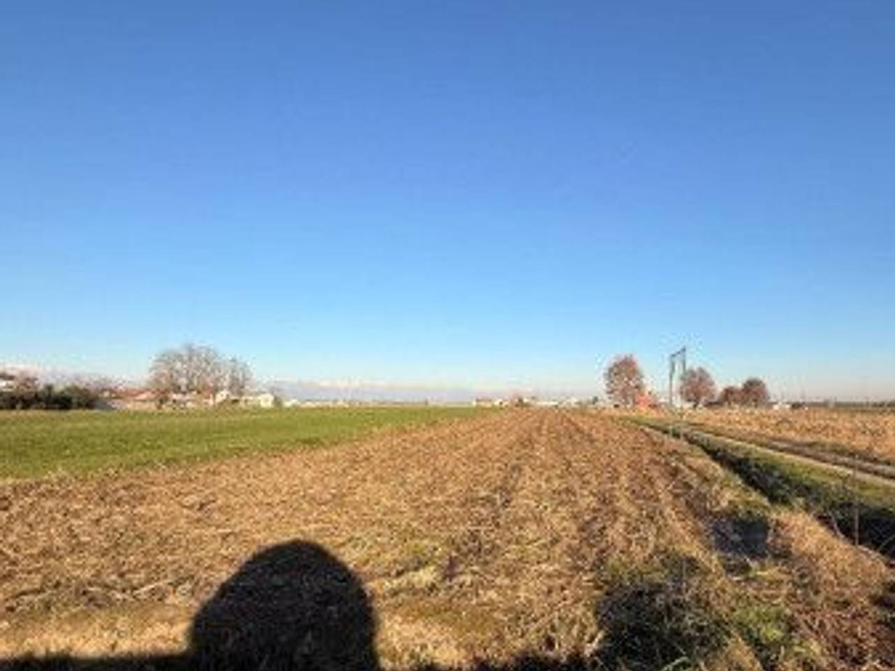 immagine annuncio 6 di 7