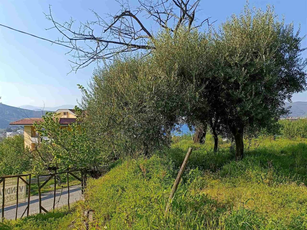 immagine annuncio 1 di 9