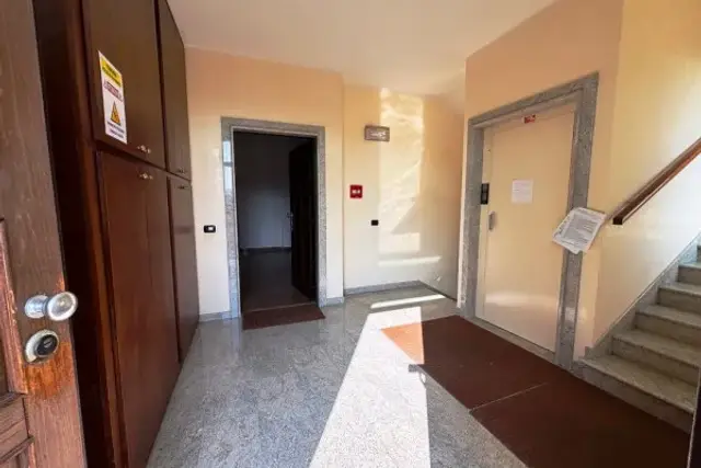 insertion image