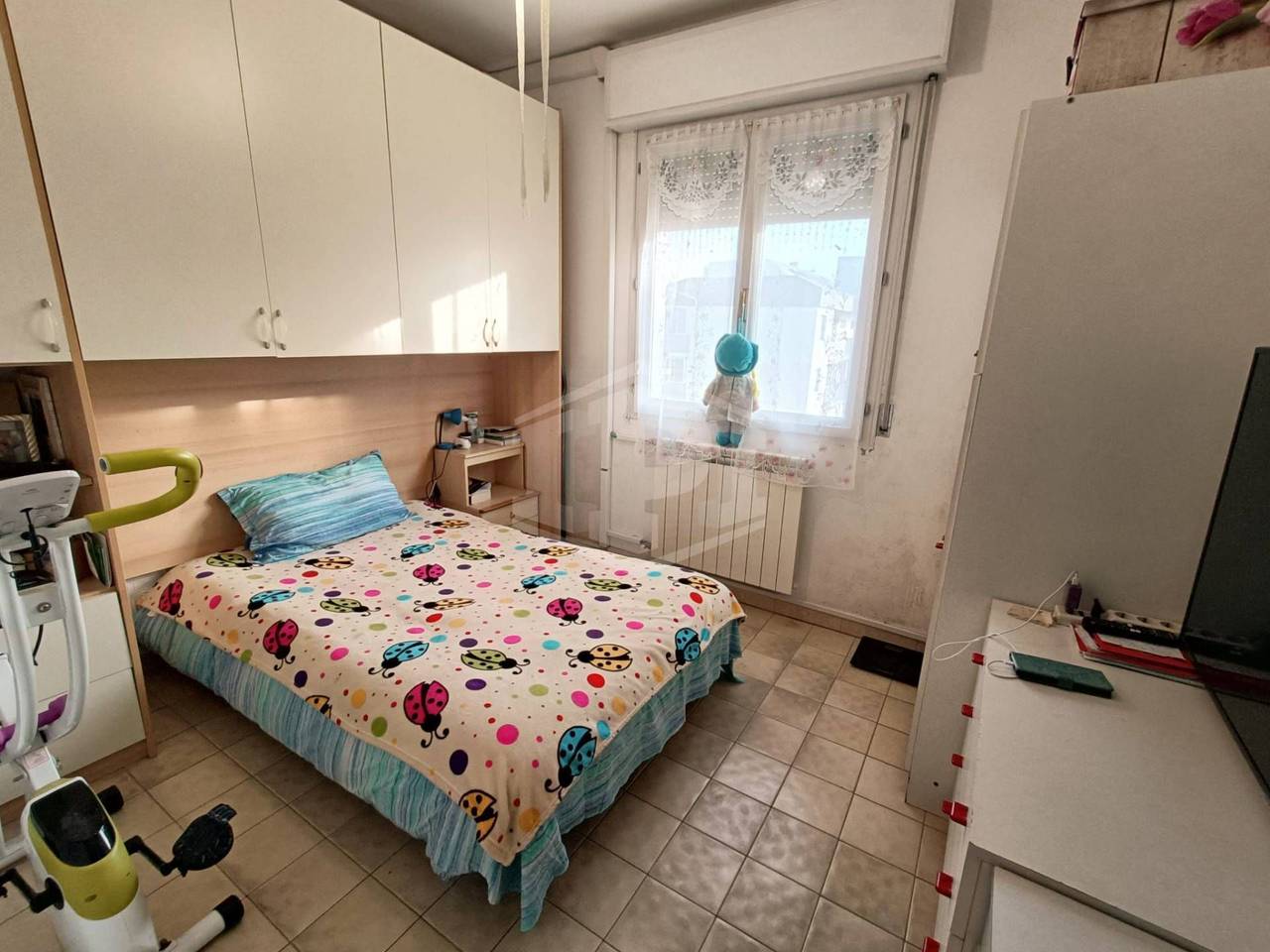 immagine annuncio 7 di 11