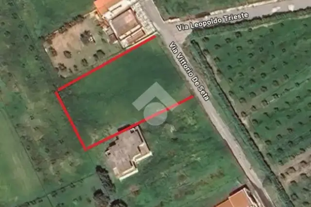 insertion image