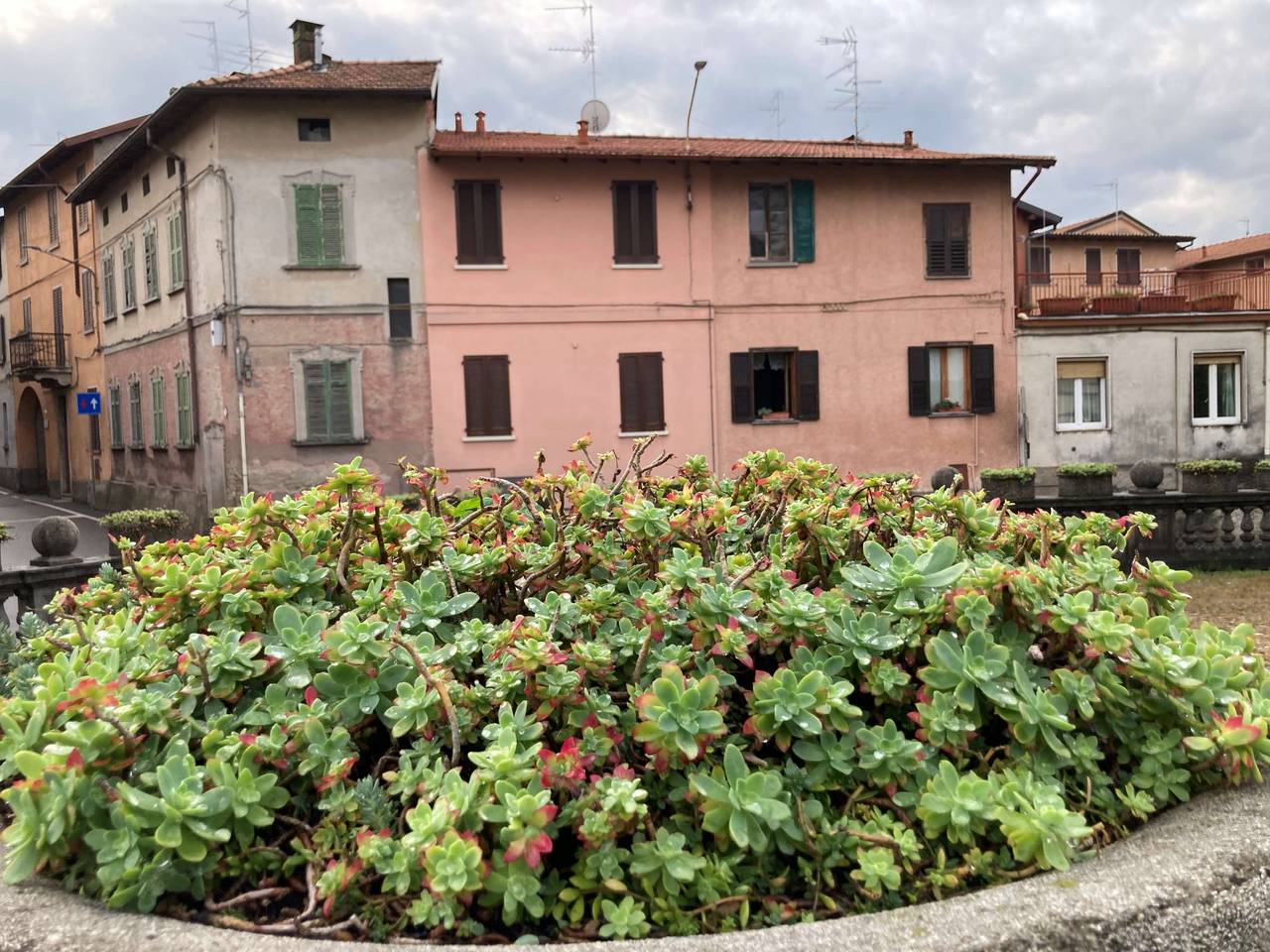 immagine annuncio 12 di 13