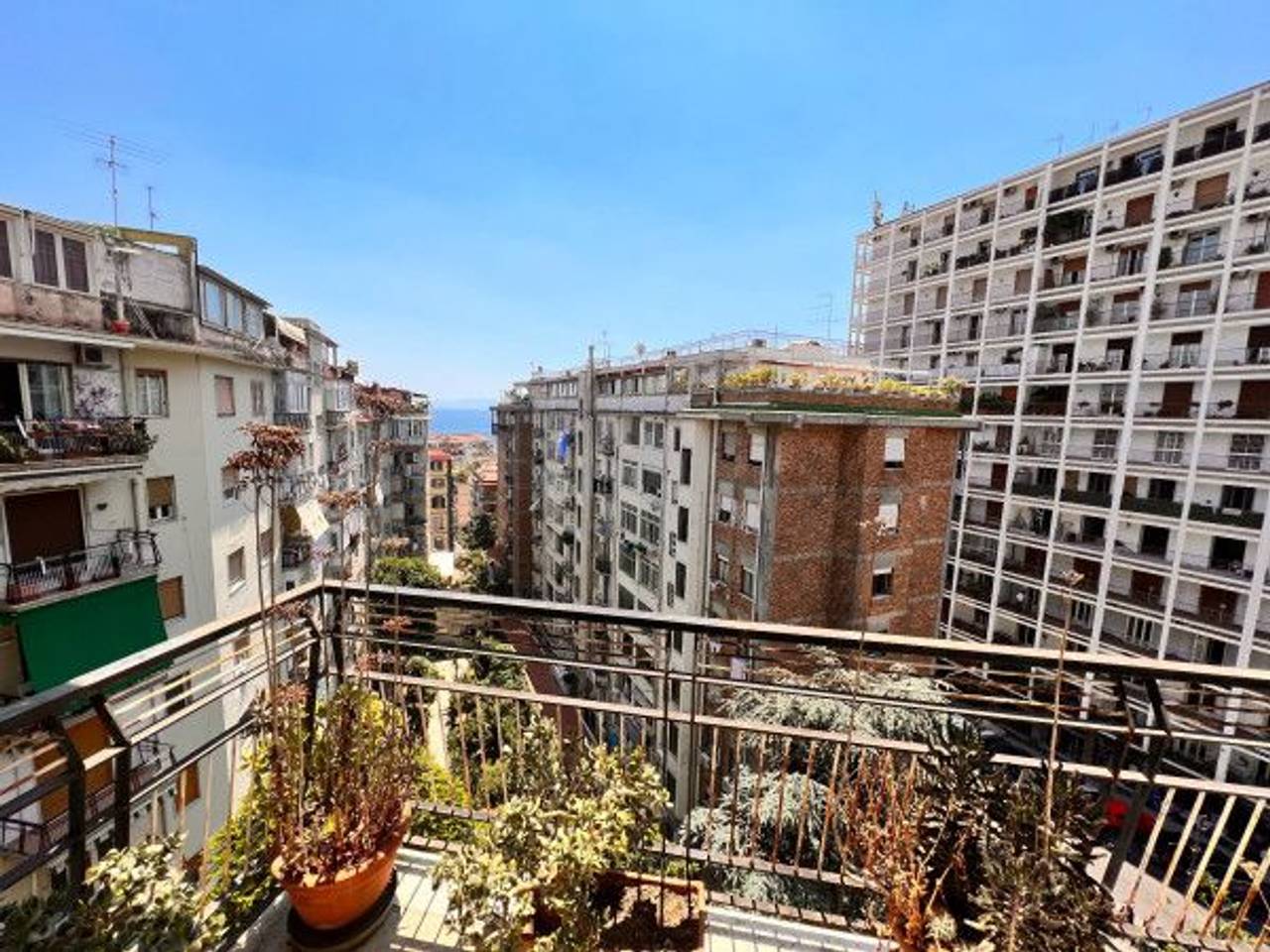 immagine annuncio 7 di 11