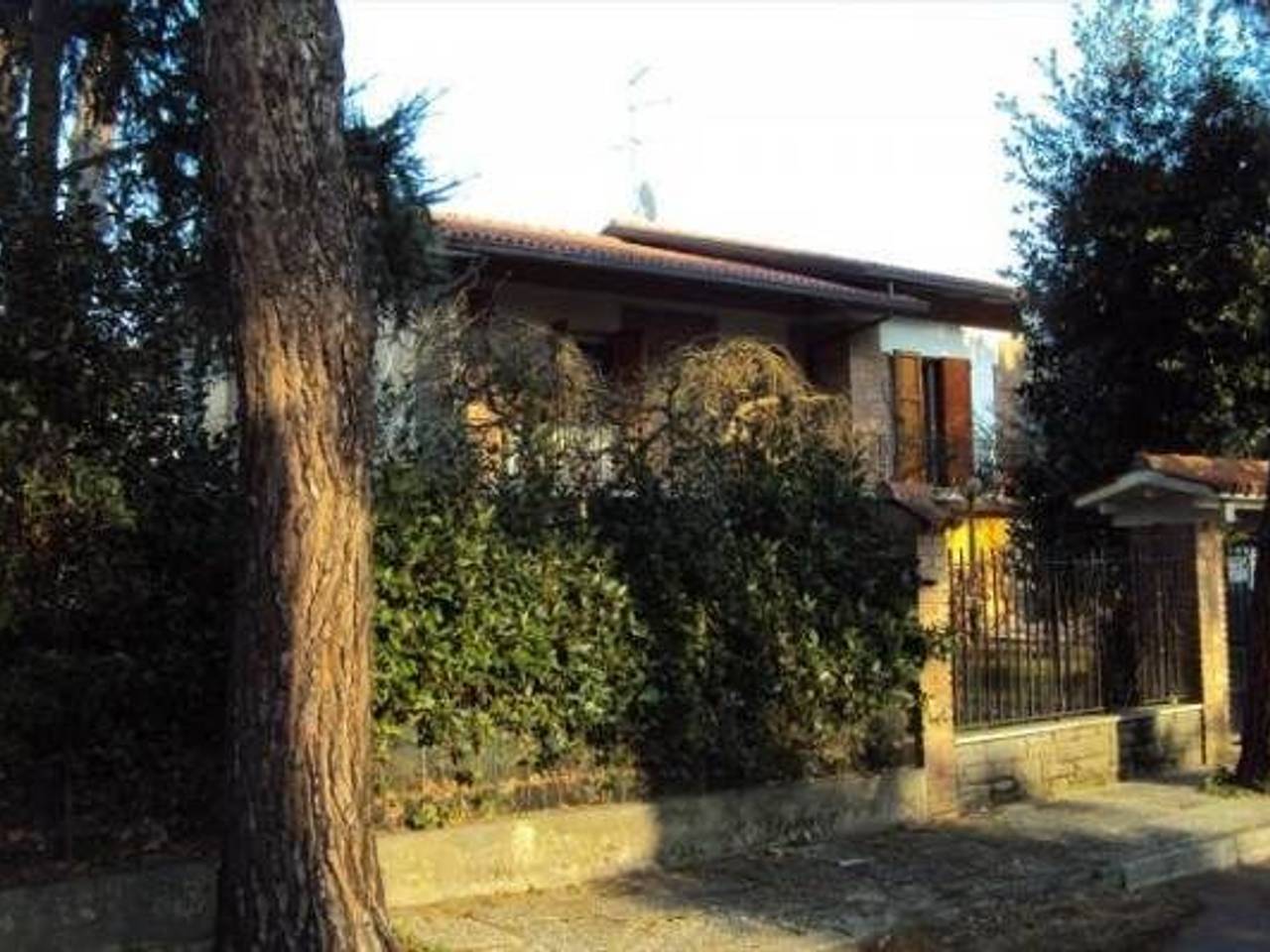 immagine annuncio 1 di 11