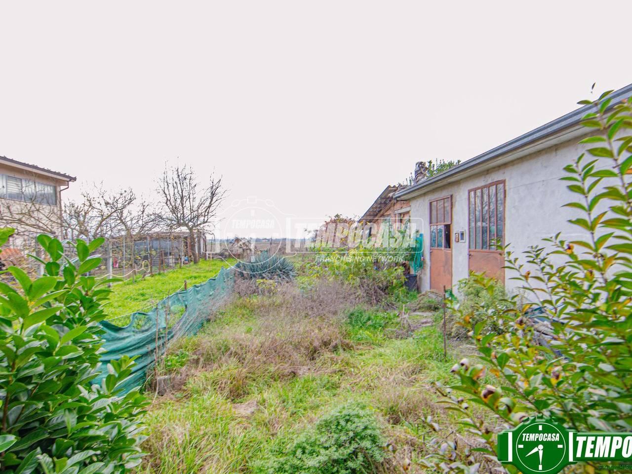 immagine annuncio 9 di 12