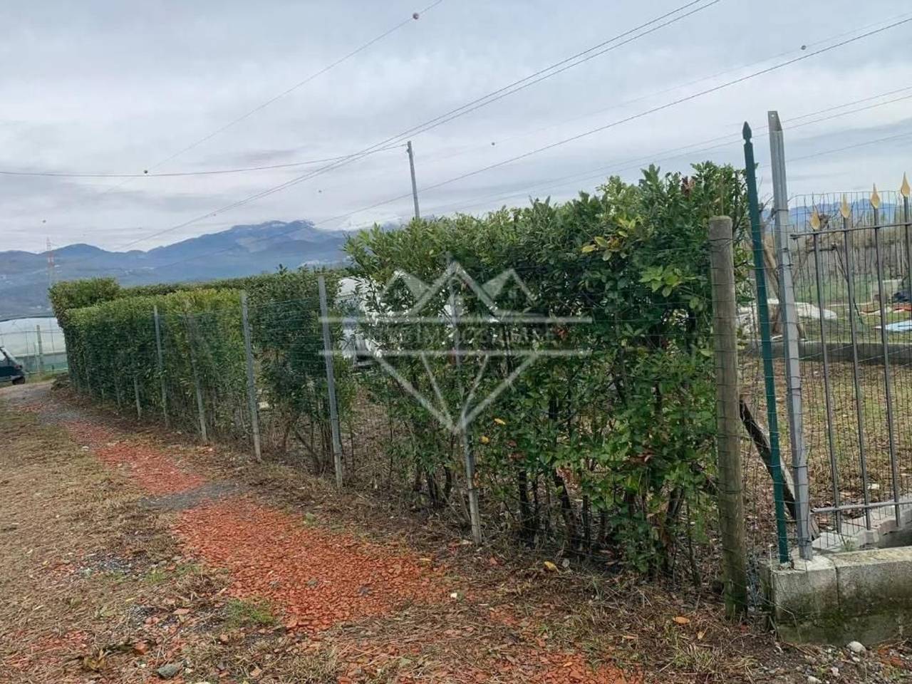 immagine annuncio 2 di 3