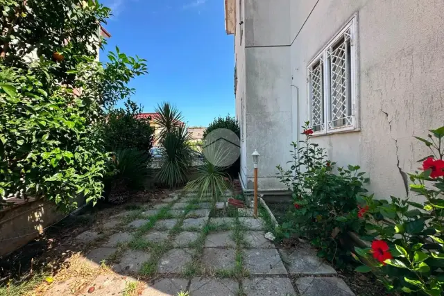 insertion image