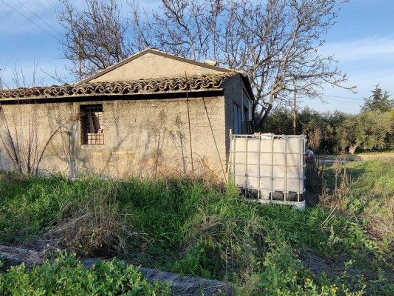 immagine annuncio 7 di 15