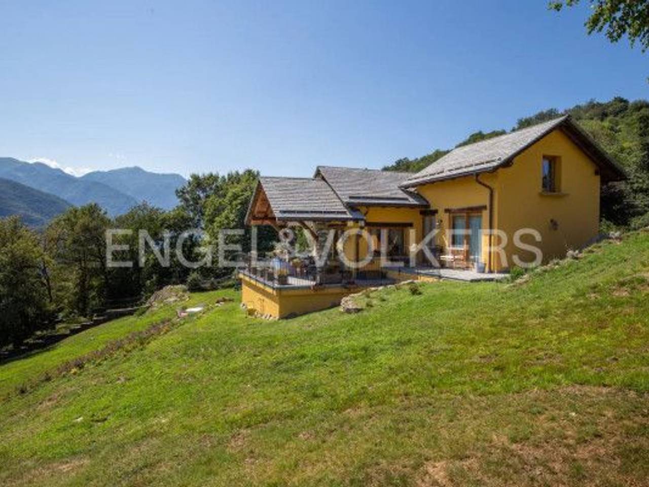 immagine annuncio 10 di 12