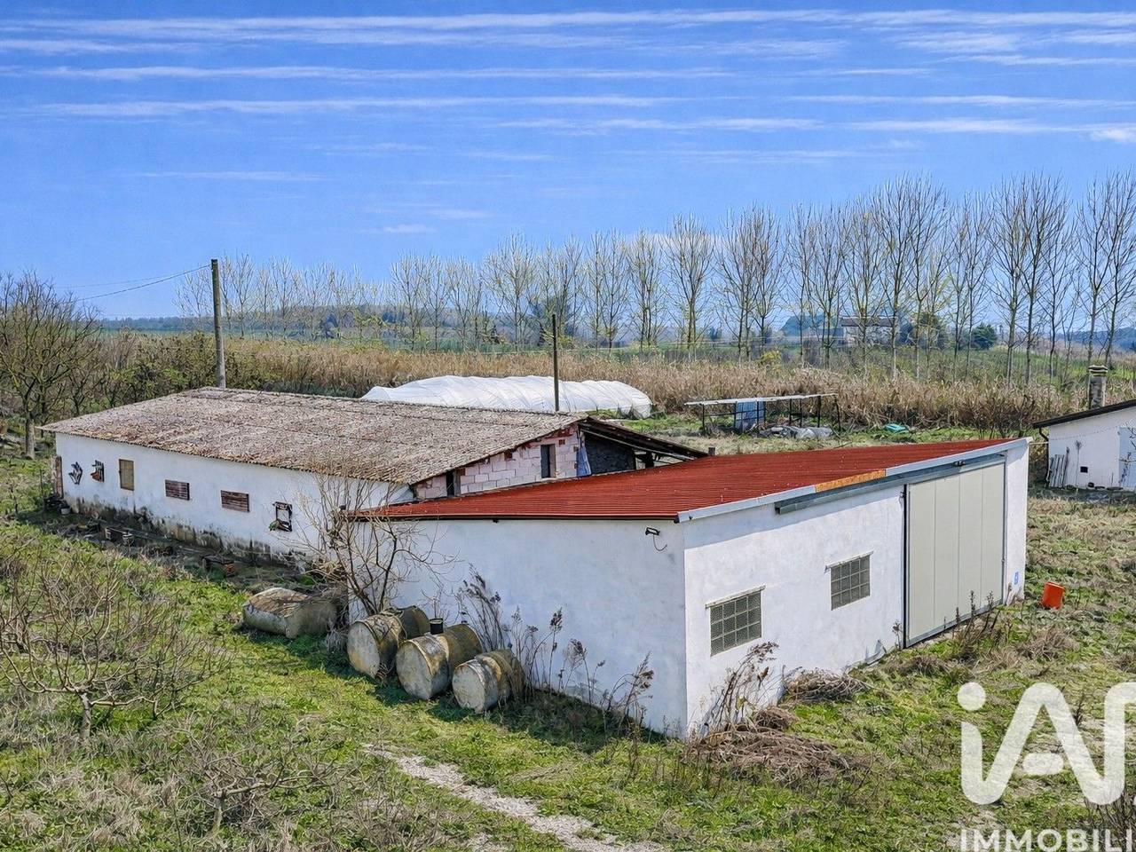 immagine annuncio 4 di 15