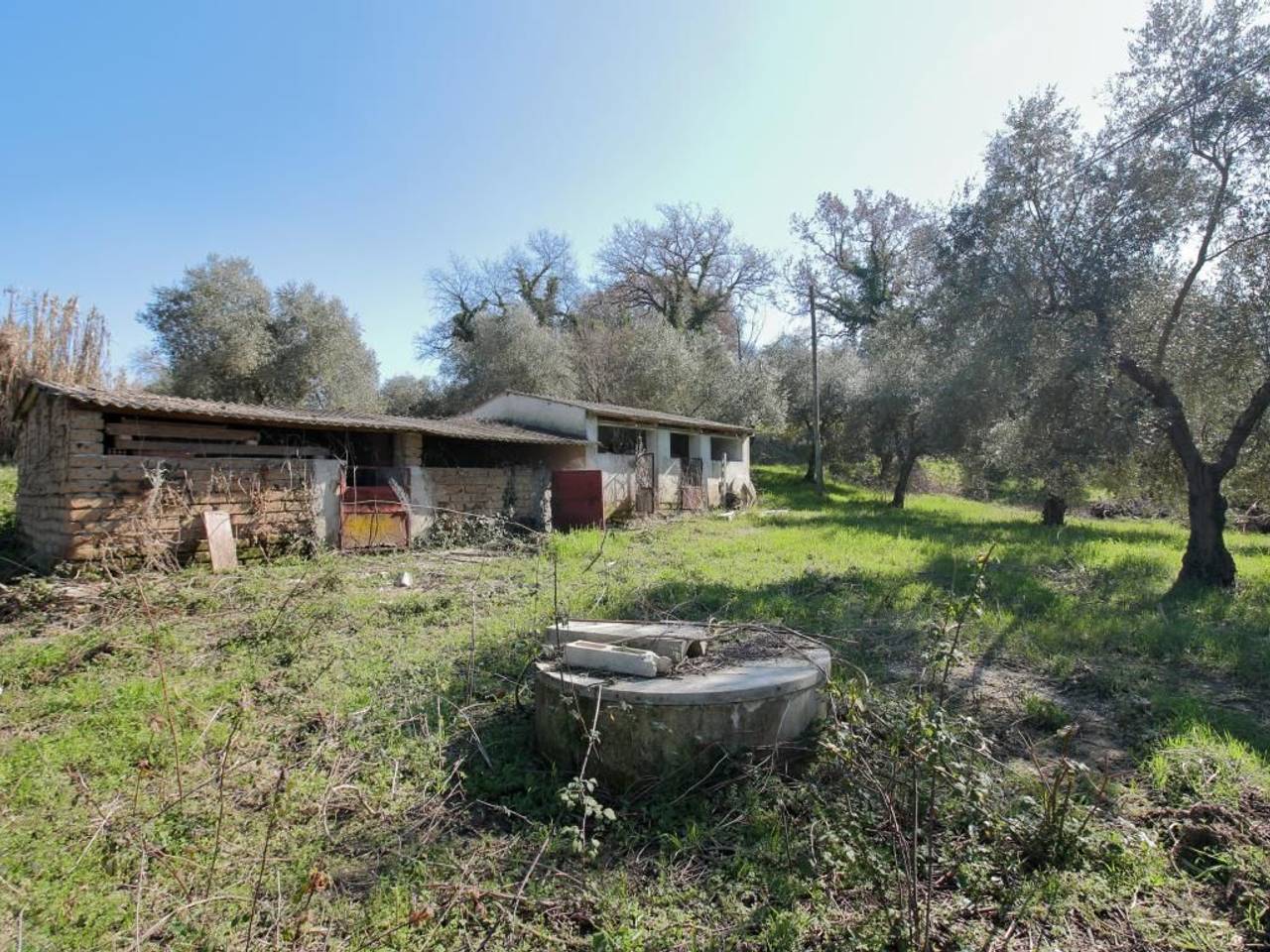 immagine annuncio 3 di 15